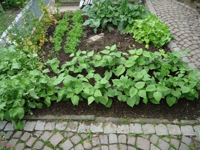 Flachbeet